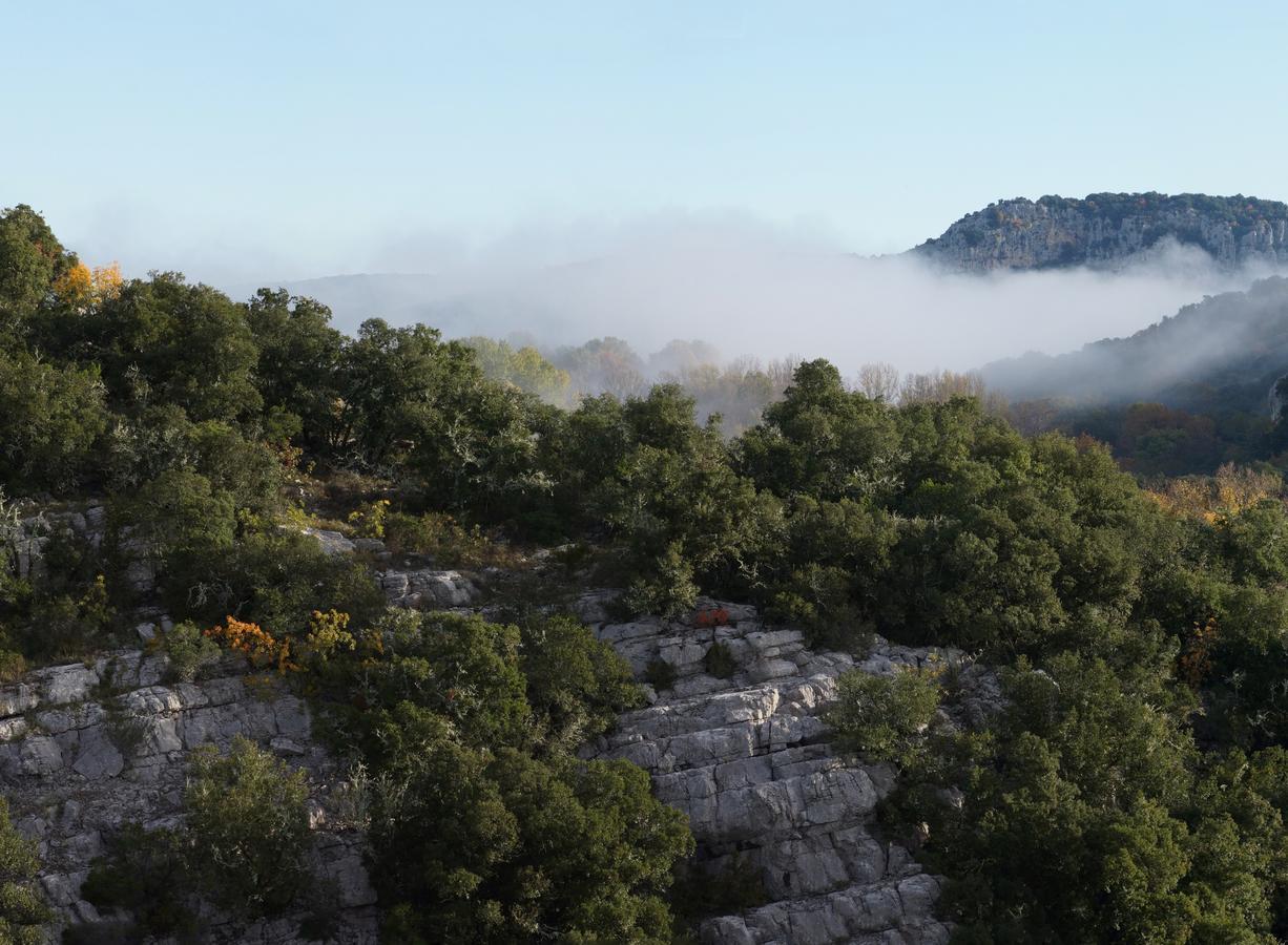 Les Hauts D'Issensac Causse-de-la-Selle Esterno foto
