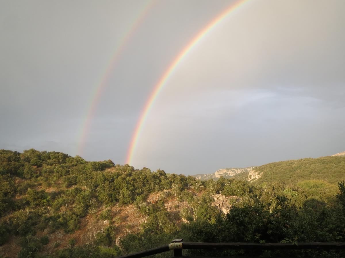 Les Hauts D'Issensac Causse-de-la-Selle Esterno foto