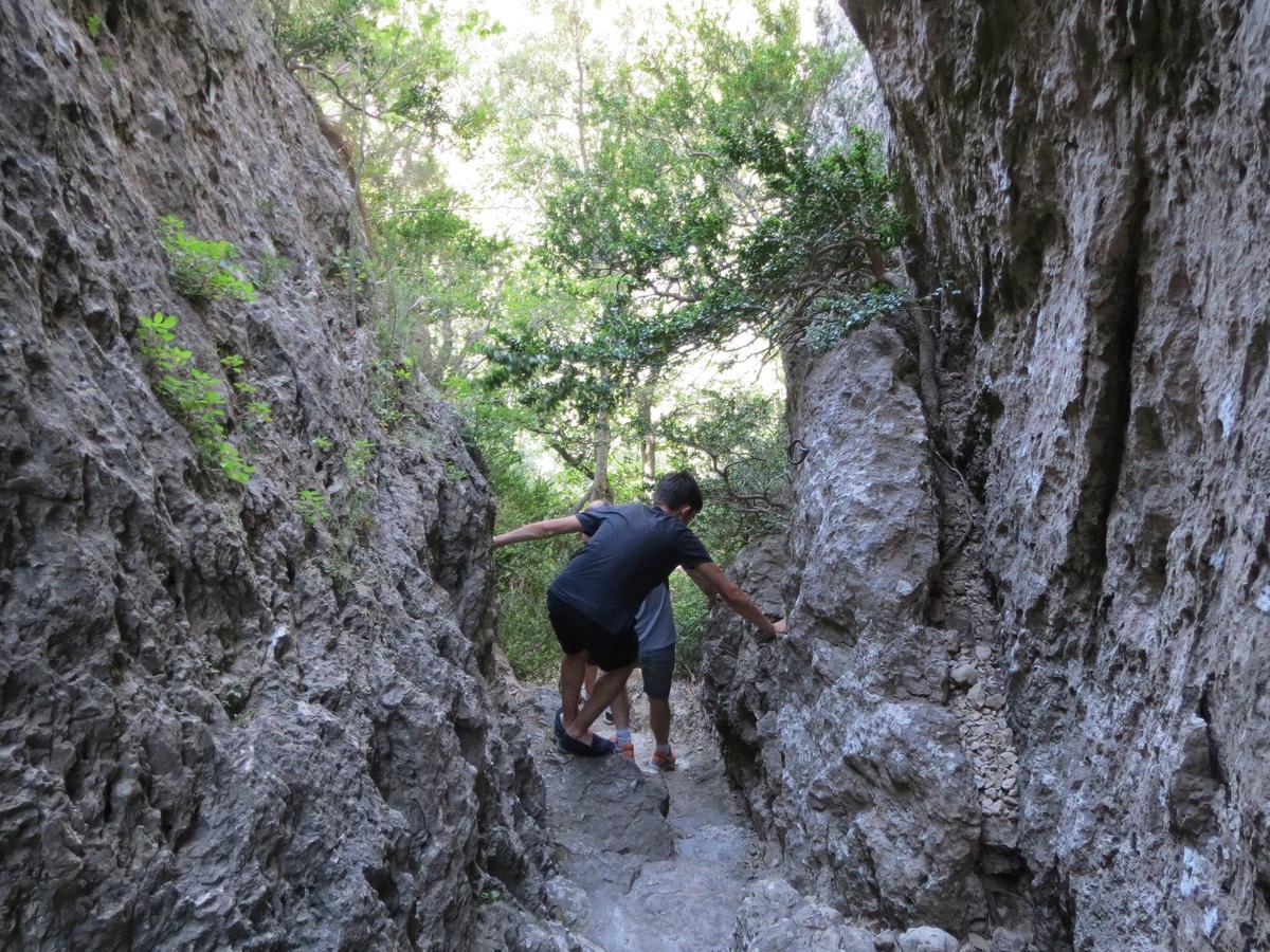 Les Hauts D'Issensac Causse-de-la-Selle Esterno foto