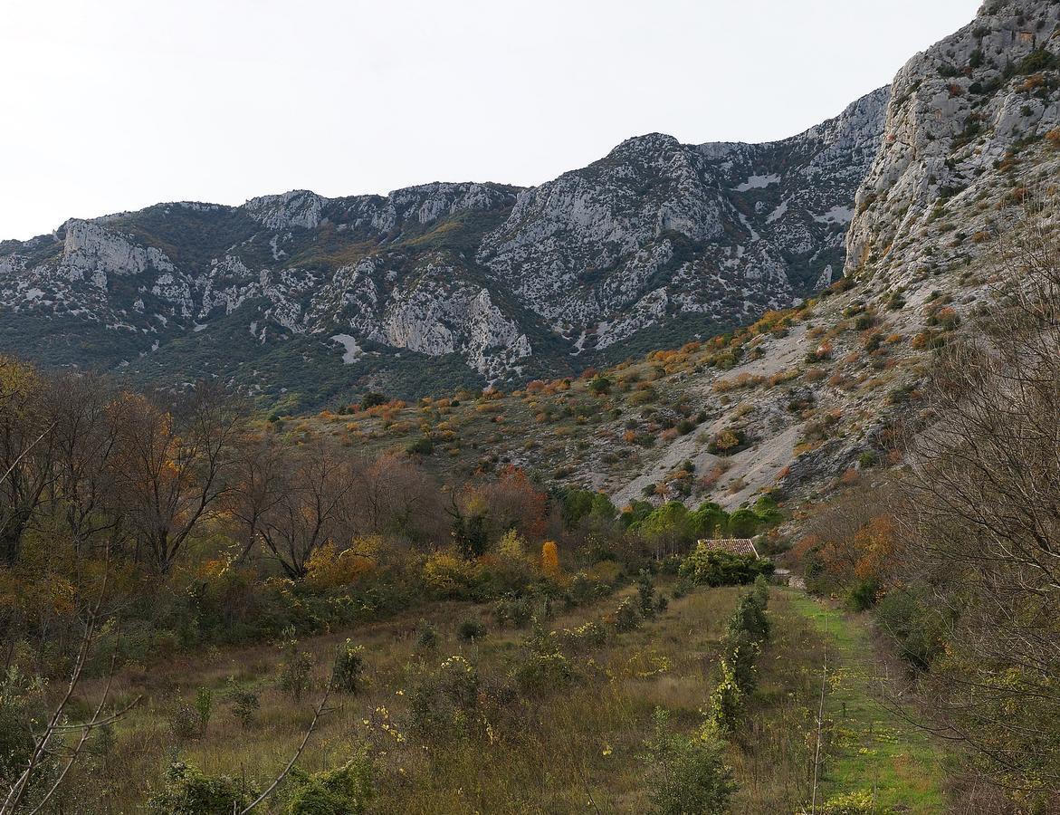 Les Hauts D'Issensac Causse-de-la-Selle Esterno foto